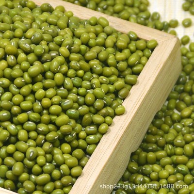 一件代发批发东北绿豆可发豆芽煮粥新绿豆五谷杂粮图4