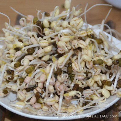 一件代发批发东北绿豆可发豆芽煮粥新绿豆五谷杂粮图2