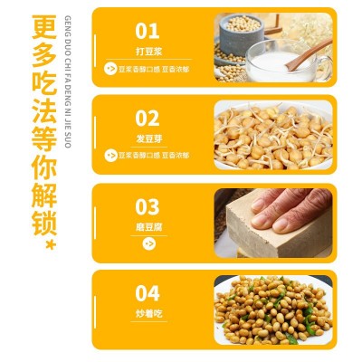 一件代发批发东北黄豆500g多规格组合非转基因发芽率高五谷杂粮图3