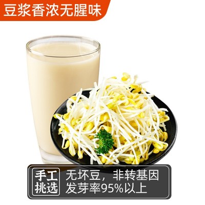 一件代发批发东北黄豆500g多规格组合非转基因发芽率高五谷杂粮图2