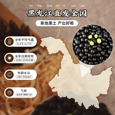 一件代发批发东北黑豆500g多规格组合发芽打豆浆非转基因图3