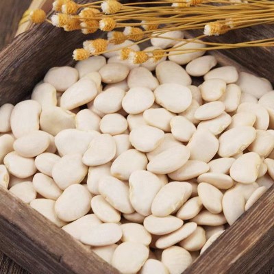小白芸豆白扁豆白凤豆白扁豆白芸豆大白豆崇明扁豆25kg