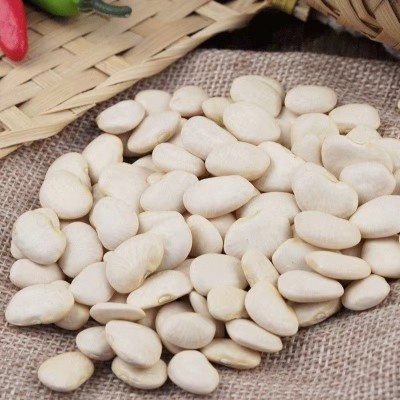 小白芸豆白扁豆白凤豆白扁豆白芸豆大白豆崇明扁豆25kg图4
