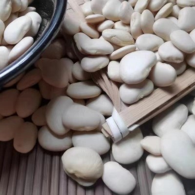 小白芸豆白扁豆白凤豆白扁豆白芸豆大白豆崇明扁豆25kg图3
