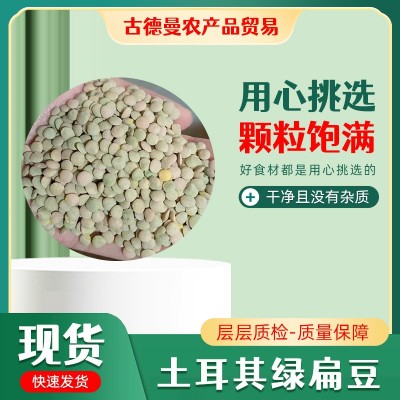 土耳其绿扁豆 自家工厂制作 颗粒饱满 可快速发货 绿扁豆图3