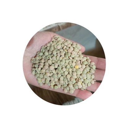 土耳其绿扁豆 自家工厂制作 颗粒饱满 可快速发货 绿扁豆图5