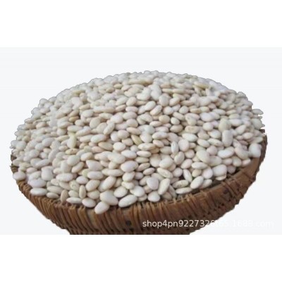 白凤豆图5