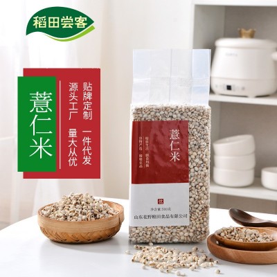 新米贵州薏仁米小薏米仁搭配红豆赤小豆做薏米茶五谷杂粮粥饭批发图1