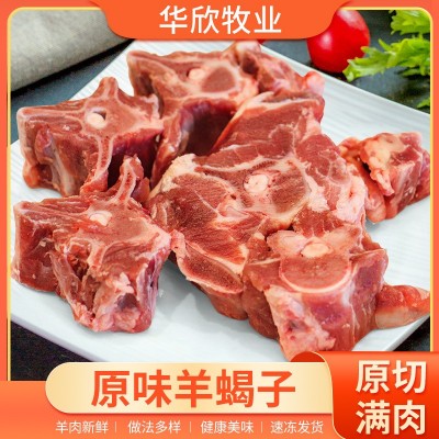 羊蝎子新鲜带肉羊骨头火锅材冷冻食10斤羊脊骨餐饮商用羊肉羊脊椎图1