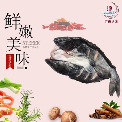 清江开背鱼 冷冻商用饭店酒店用烤鱼半成品食材 多规格批发图2