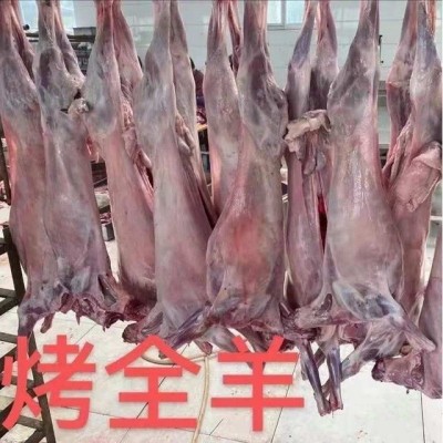 新鲜羊肉无皮整只羊肉6斤-20斤放养羔羊冷冻整只羊小腿图3