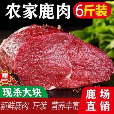 6斤原生态新鲜鹿肉现杀梅花鹿大块肉新鲜梅 鲜鹿蹄筋冷冻保鲜