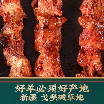 定制加工新疆羊肉特产正中红柳羊肉串大师配方图4