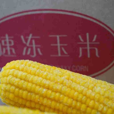 东北速冻黄玉米新鲜速冻即食厂家批发东北黄玉米批发图2