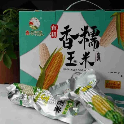厂家批发东北黄糯玉米批发鑫依然香真空黄糯玉米源头货源图4
