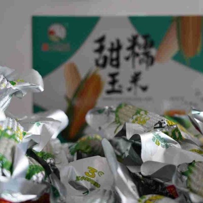 厂家批发东北黄糯玉米批发鑫依然香真空黄糯玉米源头货源图2