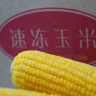 新鲜速冻即食东北厂家批发速冻黄玉米批发速冻黄玉米图3