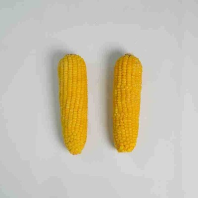 新鲜速冻即食东北厂家批发速冻黄玉米批发速冻黄玉米图4