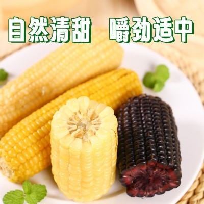 东北黄糯甜玉米 真空玉米10根每箱社区团购抖音快手代发 玉米图4