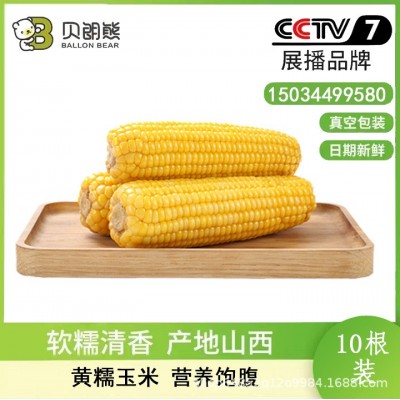 8穗香糯玉米即食真空新鲜 山西甜糯玉米棒粗粮代餐 香糯玉米220g图1