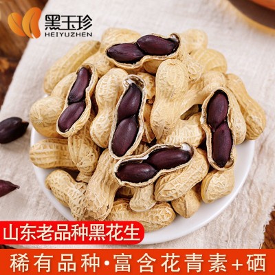 黑玉珍山东正宗黑花生/云南富硒带壳生黑花生种 人工精选新货批发图1