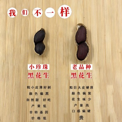 黑玉珍山东正宗黑花生/云南富硒带壳生黑花生种 人工精选新货批发图3