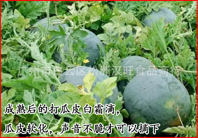 嘻嘻嘻嘻嘻嘻嘻嘻寻寻寻寻寻寻寻寻寻寻寻寻寻寻寻寻寻寻寻