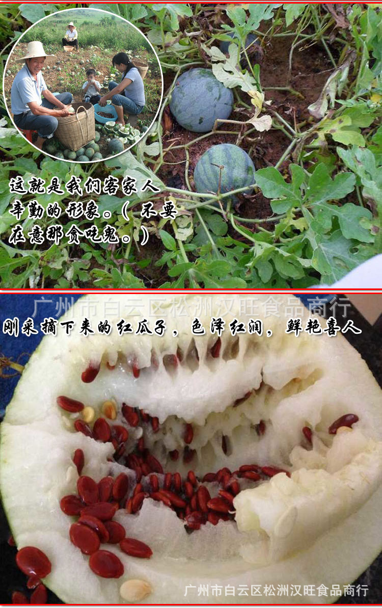 嘻嘻嘻嘻嘻嘻嘻