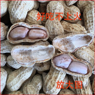 白玉咸干花生农家水煮花生白晒咸干盐水煮花生1包50斤图4
