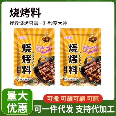 淄博烧烤料全套孜然500g烧烤粉 烤肉蘸料腌料 韩式烤肉250g烧烤料
