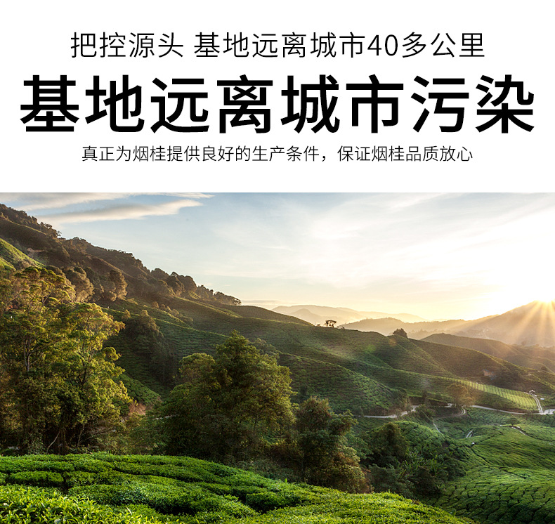 烟桂_05