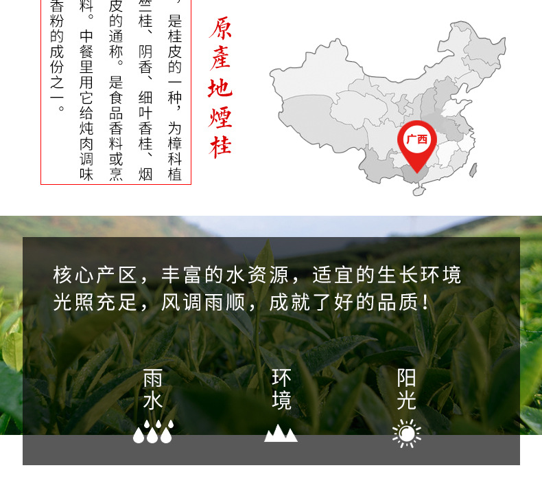 烟桂_04