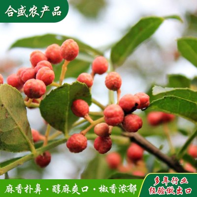 定制红花椒火锅麻辣烫调味品配料花椒颗粒卤料配料炒菜红花椒出口图2