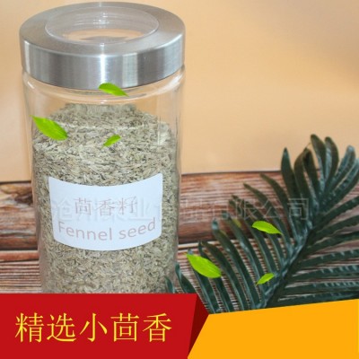 茴香籽 茴香籽厂家直销 调料茴香菜籽 熟茴香菜籽 量大优惠图2