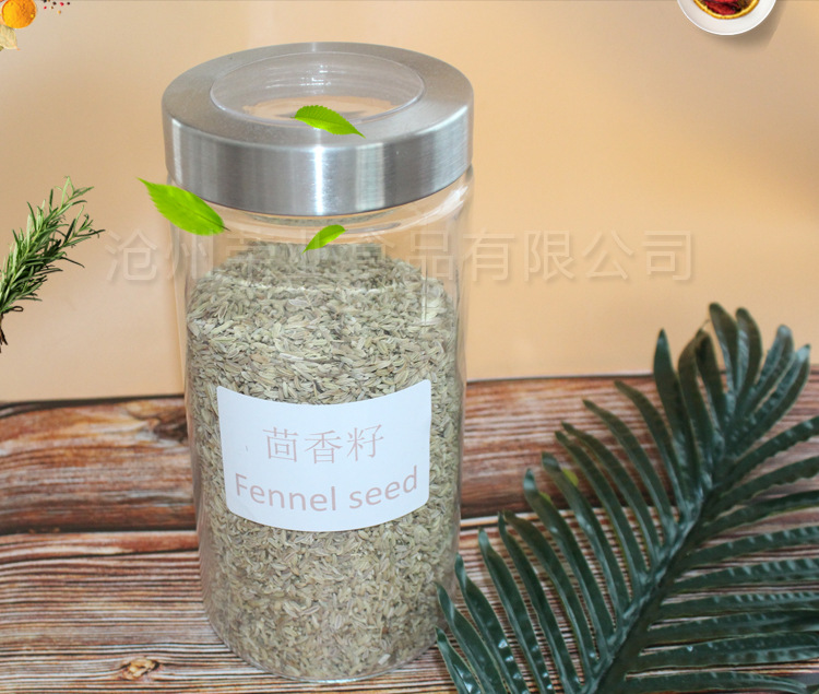 茴香籽