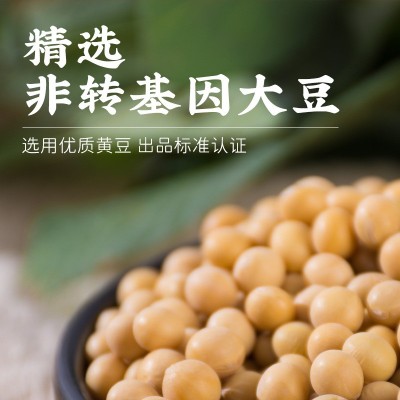 东字酱油淡口寿司刺身凉拌炒菜芥末酱油日式酿造酱油200ml图3