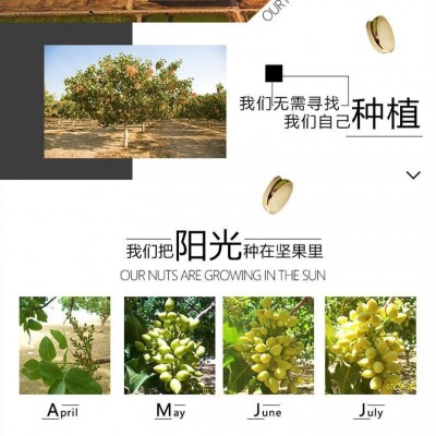 三只松鼠开心果100g/袋原色无漂白坚果休闲零食干果食品年货图2