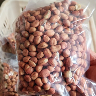 农家大颗粒新鲜生花生500g代发 食用花生仁中牟白沙花生米非种子图1