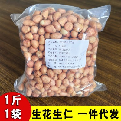 农家大颗粒新鲜生花生500g代发 食用花生仁中牟白沙花生米非种子图2