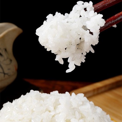 老娘舅高端香稻米10kg20斤江苏泰州大米宝宝稻花香老娘舅粳米软糯图3