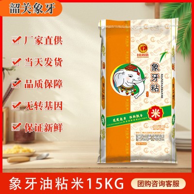 金凤凰玉竹 新米象牙粘米15KG 韶关油粘米香米籼米30斤大米新鲜米图1