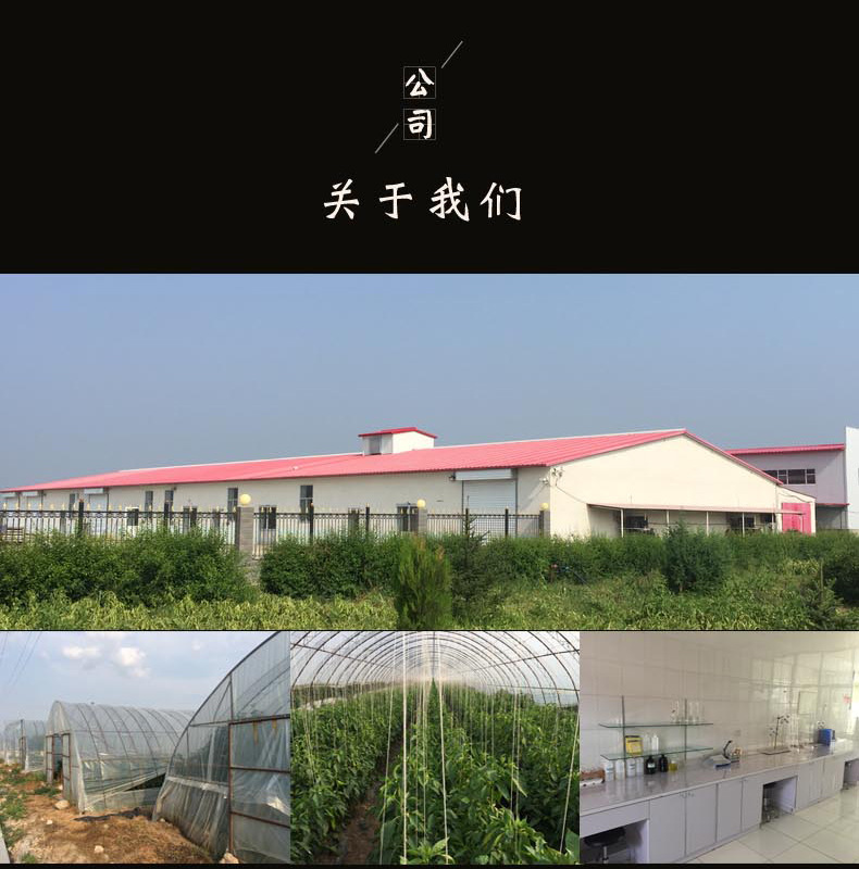 烤冷面酱_16.jpg