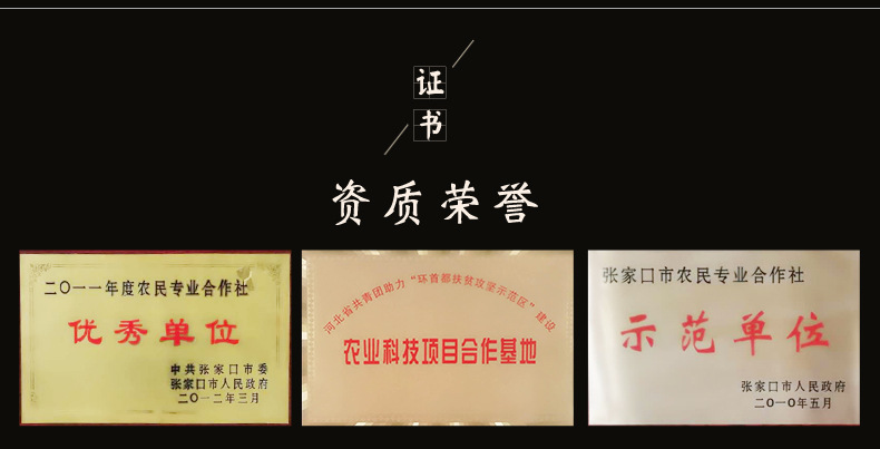 叮当婆食品河北有限公司_15