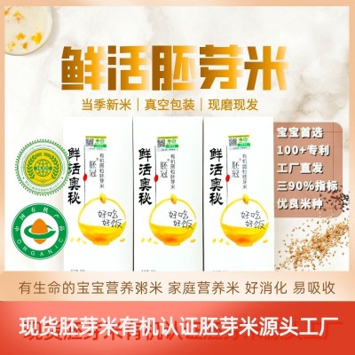 有机胚芽米鲜活奥秘东北大米宝宝粥米营养米500g/盒图1