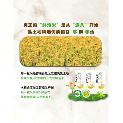 有机胚芽米鲜活奥秘东北大米宝宝粥米营养米500g/盒图3