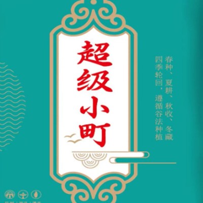 厂家批发神州泉超级小町24年东北大米当季米真空包装五常米现货图4