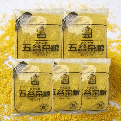 沂蒙小黄米优质小黄米养胃小米粥黄小米五谷杂粮粗粮黄小米农家小米图3