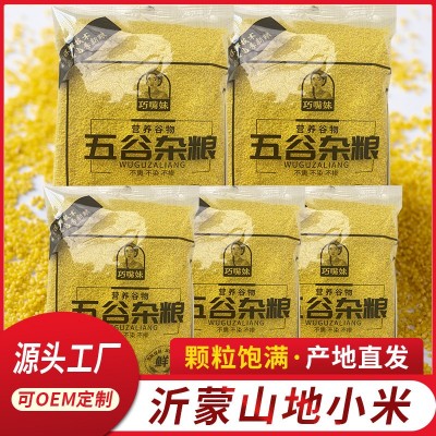 沂蒙小黄米优质小黄米养胃小米粥黄小米五谷杂粮粗粮黄小米农家小米图2