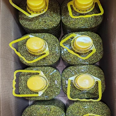 桶装5斤东北绿豆农家新豆解暑绿豆汤粥糕原料可发豆芽五谷杂粮图5
