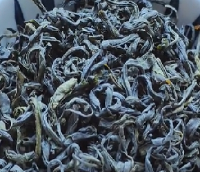 紫苏搭配茶叶，作用太厉害了